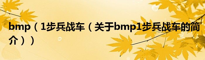 bmp（1步兵战车（关于bmp1步兵战车的简介））