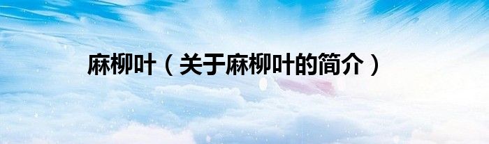 麻柳叶（关于麻柳叶的简介）
