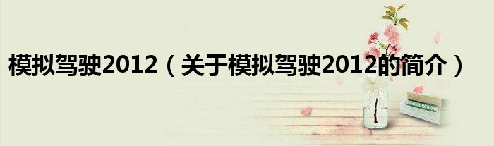 模拟驾驶2012（关于模拟驾驶2012的简介）