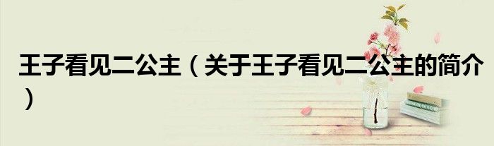 王子看见二公主（关于王子看见二公主的简介）