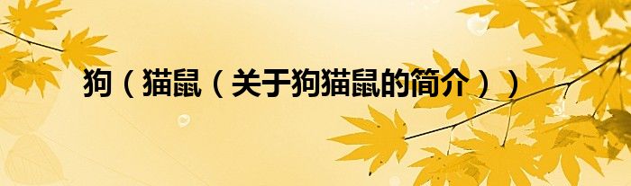 狗（猫鼠（关于狗猫鼠的简介））