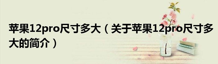 苹果12pro尺寸多大（关于苹果12pro尺寸多大的简介）