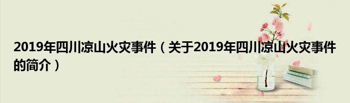 2019年四川凉山火灾事件（关于2019年四川凉山火灾事件的简介）