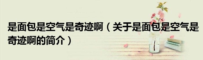 是面包是空气是奇迹啊（关于是面包是空气是奇迹啊的简介）