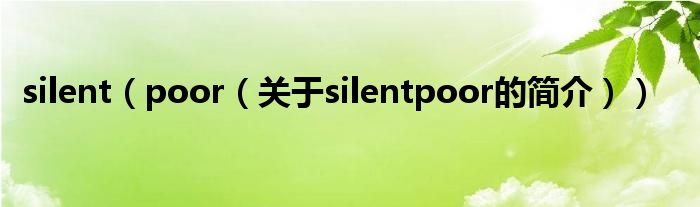 silent（poor（关于silentpoor的简介））