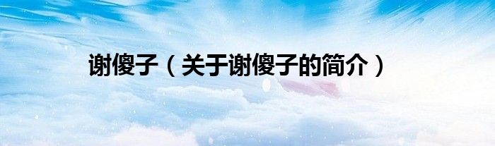 谢傻子（关于谢傻子的简介）