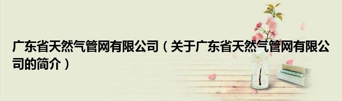 广东省天然气管网有限公司（关于广东省天然气管网有限公司的简介）
