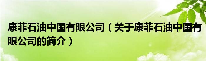 康菲石油中国有限公司（关于康菲石油中国有限公司的简介）