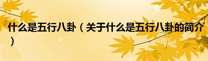 什么是五行八卦（关于什么是五行八卦的简介）