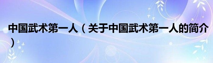 中国武术第一人（关于中国武术第一人的简介）