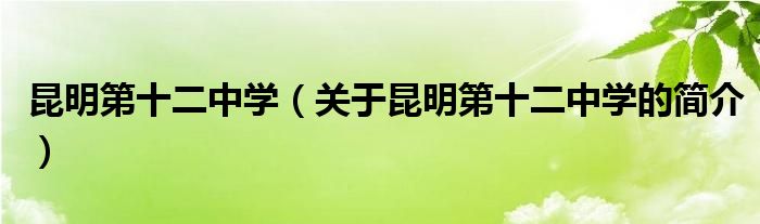 昆明第十二中学（关于昆明第十二中学的简介）