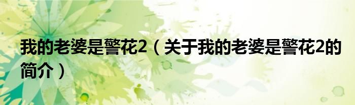 我的老婆是警花2（关于我的老婆是警花2的简介）