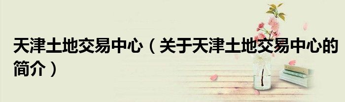 天津土地交易中心（关于天津土地交易中心的简介）