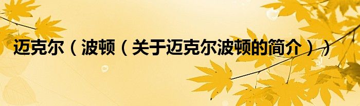 迈克尔（波顿（关于迈克尔波顿的简介））