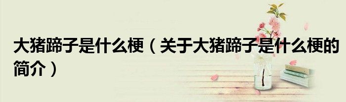 大猪蹄子是什么梗（关于大猪蹄子是什么梗的简介）