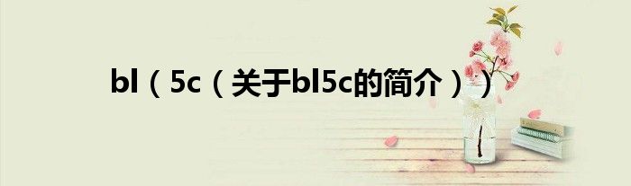 bl（5c（关于bl5c的简介））