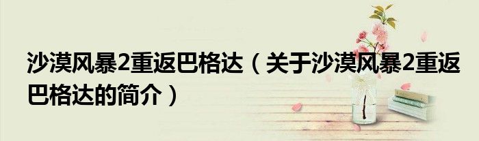 沙漠风暴2重返巴格达（关于沙漠风暴2重返巴格达的简介）