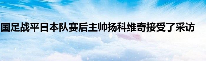 国足战平日本队赛后主帅扬科维奇接受了采访