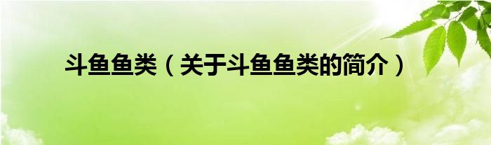 斗鱼鱼类（关于斗鱼鱼类的简介）