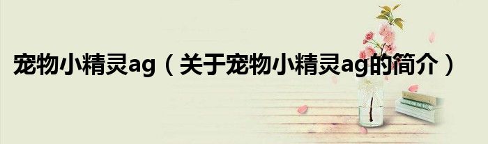 宠物小精灵ag（关于宠物小精灵ag的简介）
