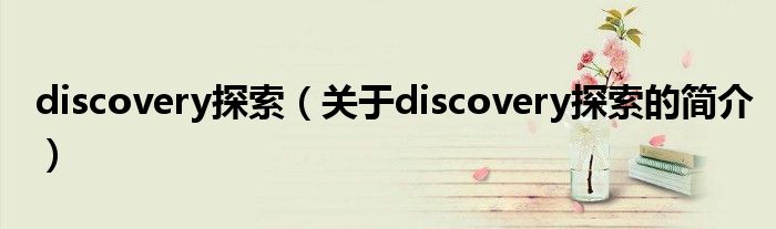 discovery探索（关于discovery探索的简介）