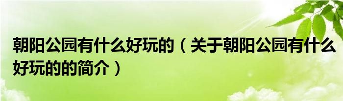 朝阳公园有什么好玩的（关于朝阳公园有什么好玩的的简介）