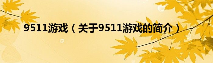 9511游戏（关于9511游戏的简介）
