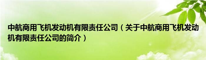 中航商用飞机发动机有限责任公司（关于中航商用飞机发动机有限责任公司的简介）