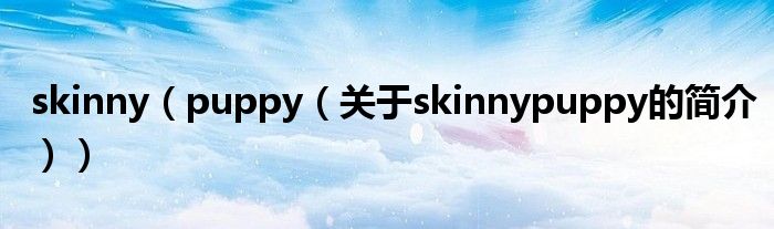 skinny（puppy（关于skinnypuppy的简介））