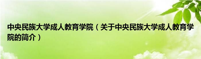 中央民族大学成人教育学院（关于中央民族大学成人教育学院的简介）