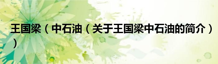 王国梁（中石油（关于王国梁中石油的简介））