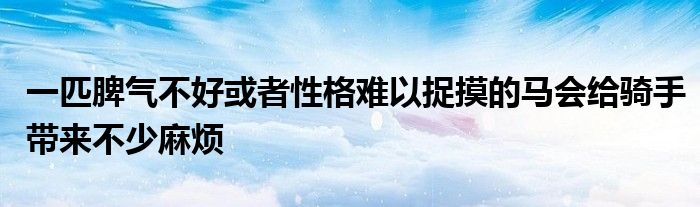 一匹脾气不好或者性格难以捉摸的马会给骑手带来不少麻烦