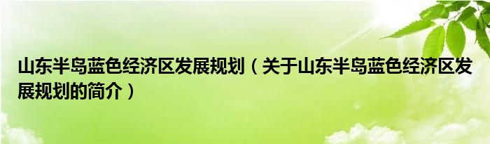 山东半岛蓝色经济区发展规划（关于山东半岛蓝色经济区发展规划的简介）