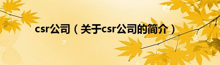 csr公司（关于csr公司的简介）