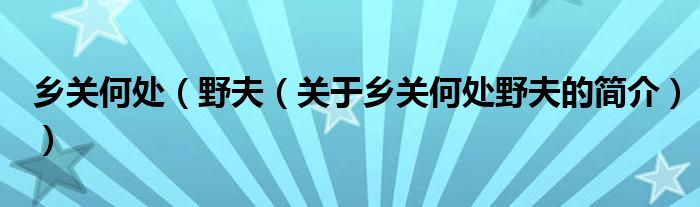 乡关何处（野夫（关于乡关何处野夫的简介））