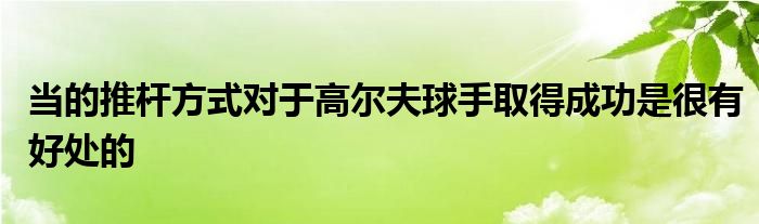 当的推杆方式对于高尔夫球手取得成功是很有好处的