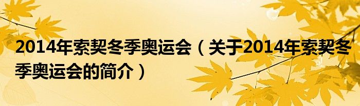 2014年索契冬季奥运会（关于2014年索契冬季奥运会的简介）