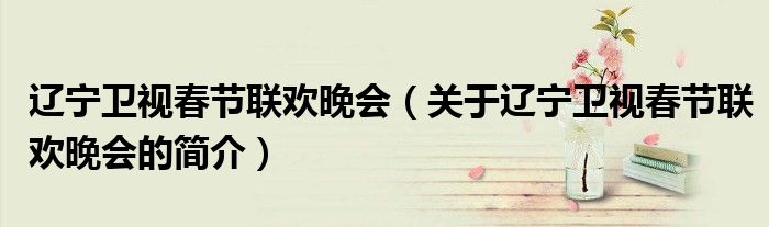 辽宁卫视春节联欢晚会（关于辽宁卫视春节联欢晚会的简介）