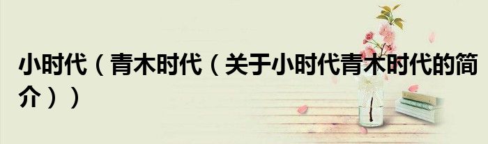小时代（青木时代（关于小时代青木时代的简介））