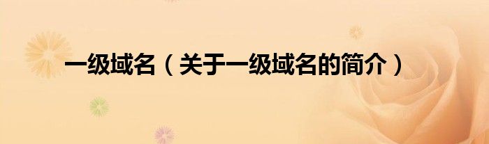 一级域名（关于一级域名的简介）