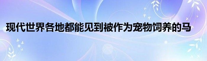 现代世界各地都能见到被作为宠物饲养的马
