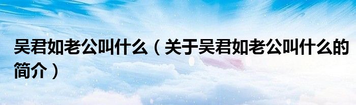 吴君如老公叫什么（关于吴君如老公叫什么的简介）