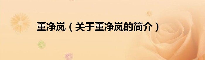 董净岚（关于董净岚的简介）