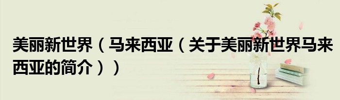 美丽新世界（马来西亚（关于美丽新世界马来西亚的简介））
