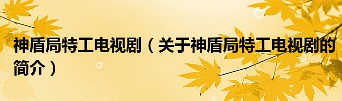 神盾局特工电视剧（关于神盾局特工电视剧的简介）