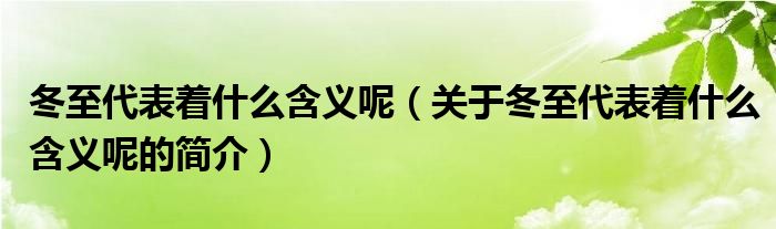 冬至代表着什么含义呢（关于冬至代表着什么含义呢的简介）