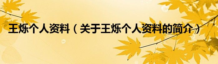 王烁个人资料（关于王烁个人资料的简介）