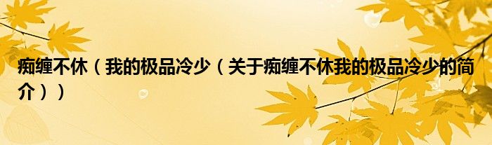 痴缠不休（我的极品冷少（关于痴缠不休我的极品冷少的简介））