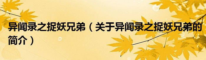 异闻录之捉妖兄弟（关于异闻录之捉妖兄弟的简介）