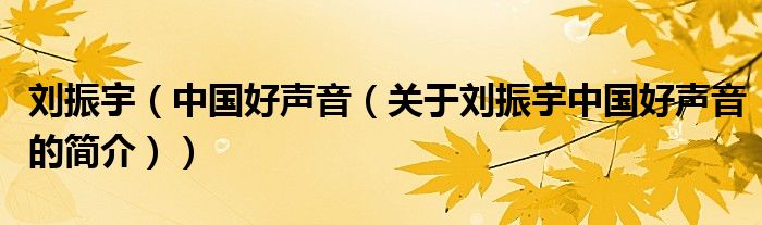 刘振宇（中国好声音（关于刘振宇中国好声音的简介））